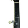 Gold Tone LOJO banjo