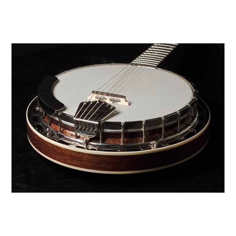RECORDING KING BANJO - / Madison  6-String Banjo RK-G25