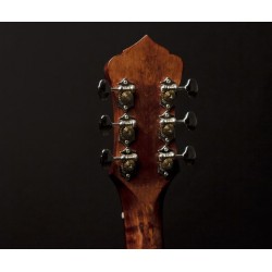 RECORDING KING BANJO - / Madison  6-String Banjo RK-G25