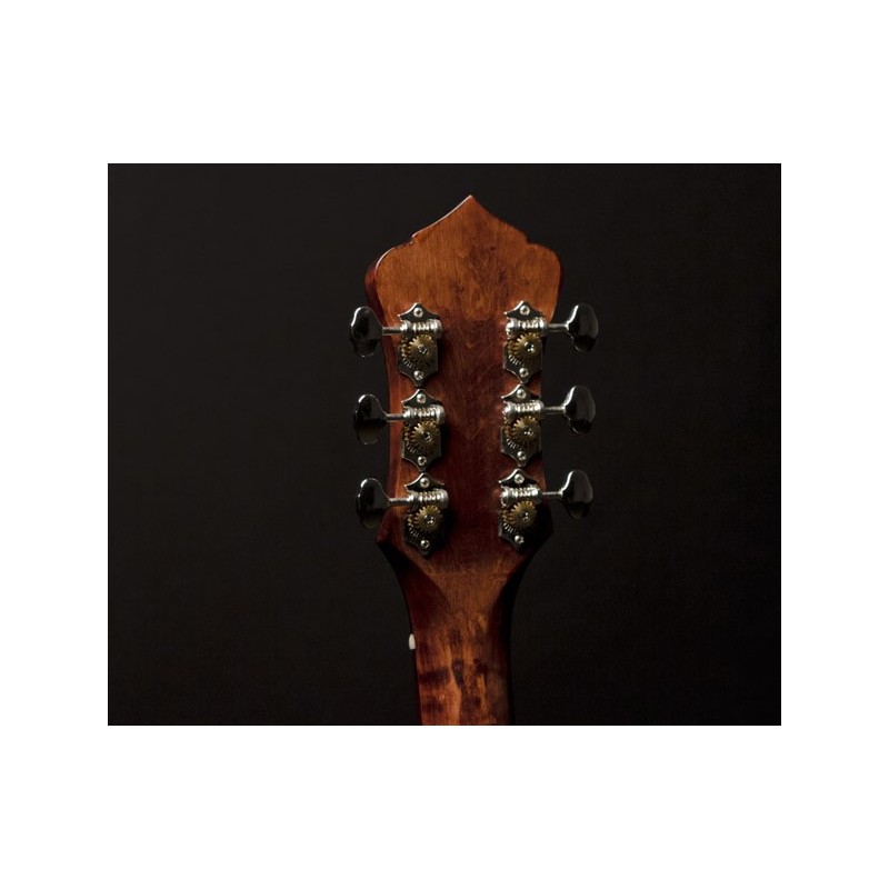 RECORDING KING BANJO - / Madison  6-String Banjo RK-G25