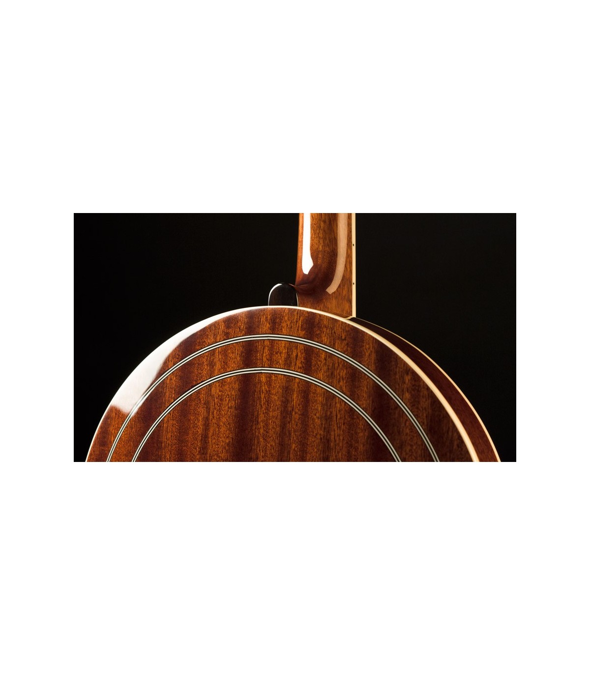 Recording King RK76 | Professional Bluegrass Banjo | RK-R76-ELITE