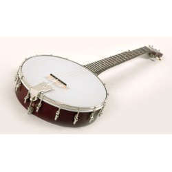 Recording King Beginner Banjo - 5-string For Learning Bluegrass