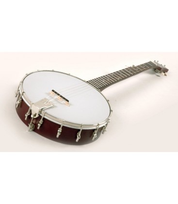 Recording King Beginner Banjo - 5-string For Learning Bluegrass