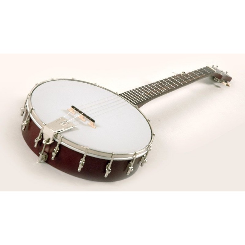 Recording King Beginner Banjo - 5-string For Learning Bluegrass