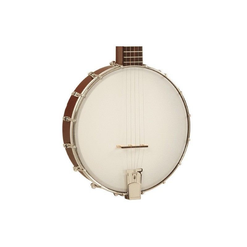 Recording King Beginner Banjo - 5-string For Learning Bluegrass
