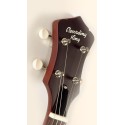 Recording King Beginner Banjo - 5-string For Learning Bluegrass