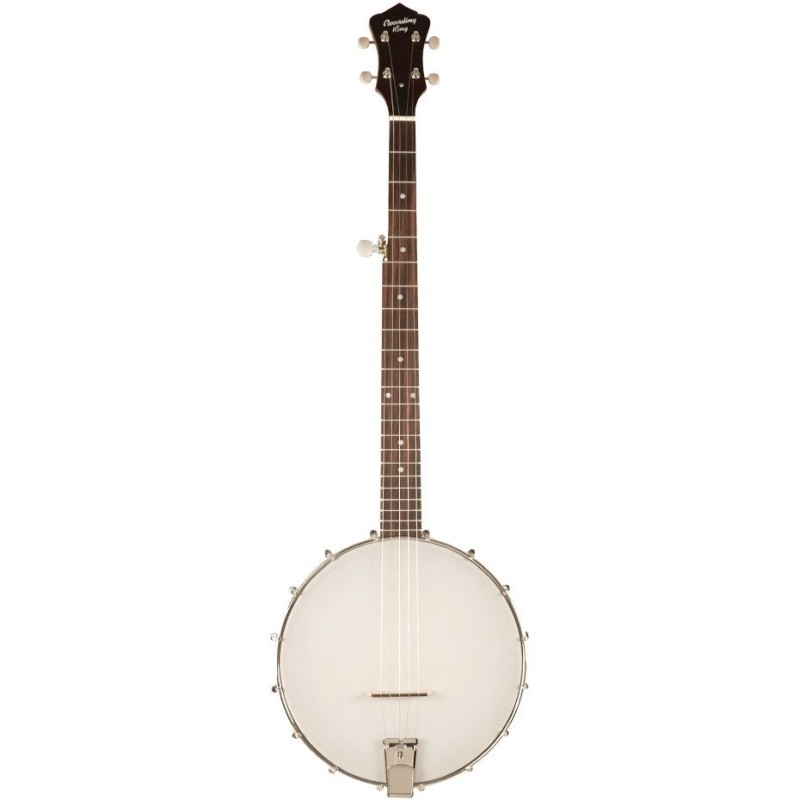 Recording King Beginner Banjo - 5-string For Learning Bluegrass