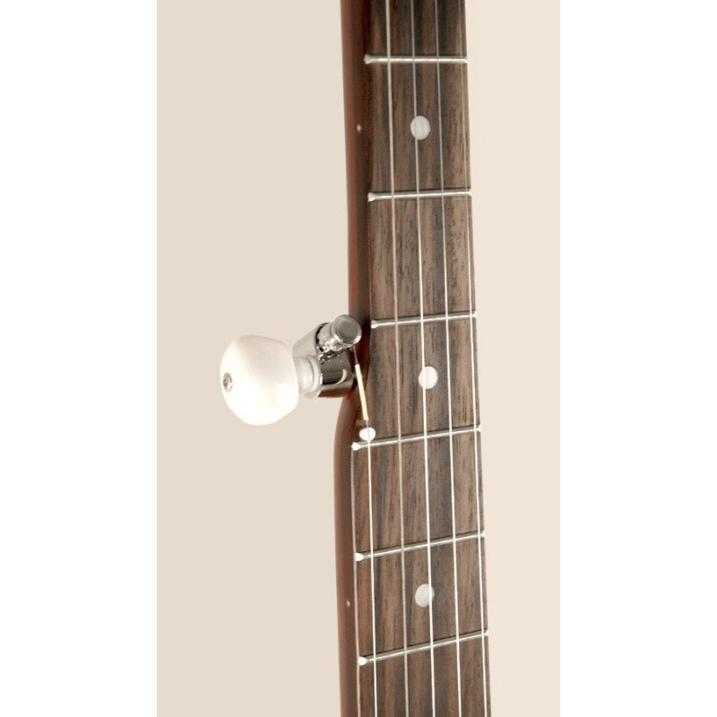 Recording King Beginner Banjo - 5-string For Learning Bluegrass