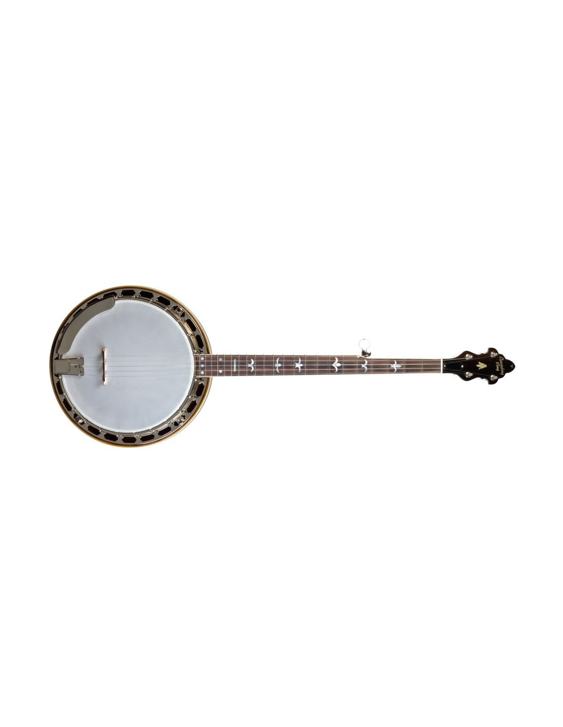 Recording King M9 US Made Banjo Walnut Best Deal