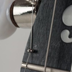 Deering Goodtime Midnight Special