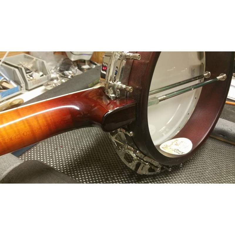 Recording King RK- R85 Elite - Maple Neck and Resonator - Limited Edition