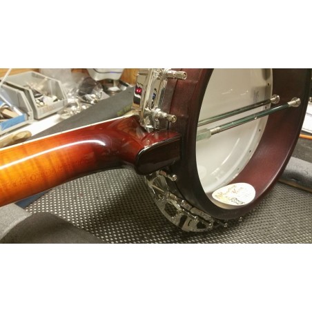 Recording King RK- R85 Elite - Maple Neck and Resonator - Limited Edition