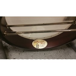 Recording King RK- R85 Elite - Maple Neck and Resonator - Limited Edition