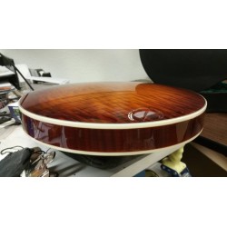 Recording King RK- R85 Elite - Maple Neck and Resonator - Limited Edition