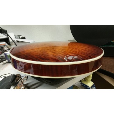 Recording King RK- R85 Elite - Maple Neck and Resonator - Limited Edition