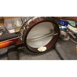 Recording King RK- R85 Elite - Maple Neck and Resonator - Limited Edition