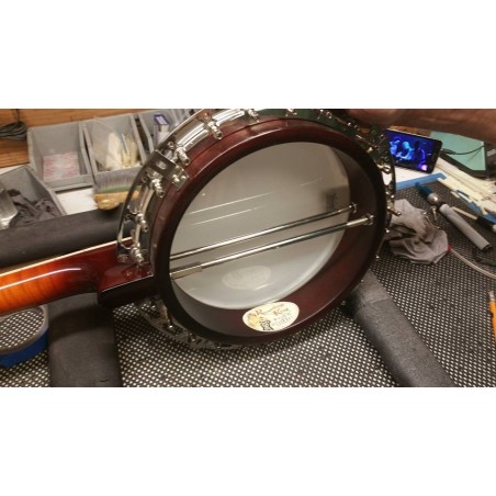 Recording King RK- R85 Elite - Maple Neck and Resonator - Limited Edition