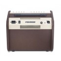 Fishman Loudbox Mini Amplifier 60W - PRO-LBX-500