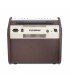 Fishman Loudbox Mini Amplifier 60W - PRO-LBX-500