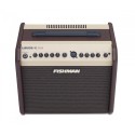 Fishman Loudbox Mini Amplifier 60W - PRO-LBX-500