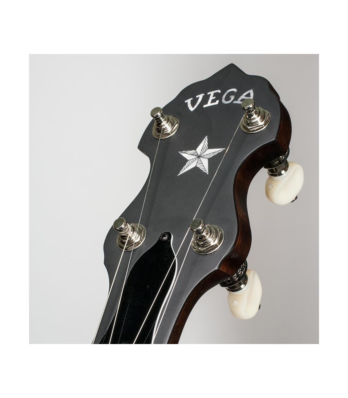 Deering vega banjo discount