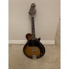 Mandolin - Saga - Kentucky 5-String Electric Mandolin