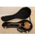 Mandolin - Saga - Kentucky 5-String Electric Mandolin