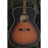 Recording King Tenor Guitar Dirty 30's Tenor
