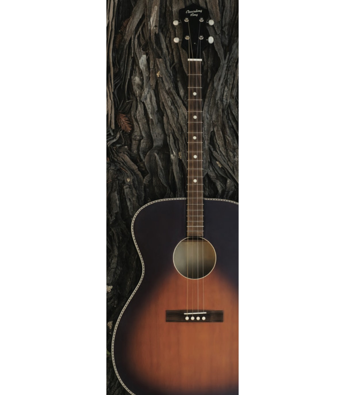 Recording King Tenor Guitar Dirty 30 s Tenor