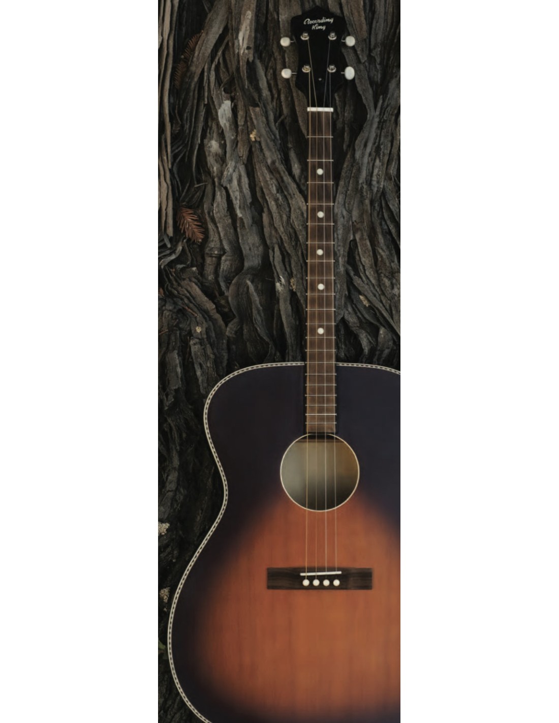 Tenor Guitar Recording King Tenor Guitar Dirty 30's Series 7000