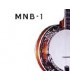 Morgan Monroe MNB-1 Banjo with Planetary Tuners