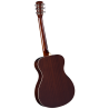 Resophonic Guitar - Regal - Round Neck Natural