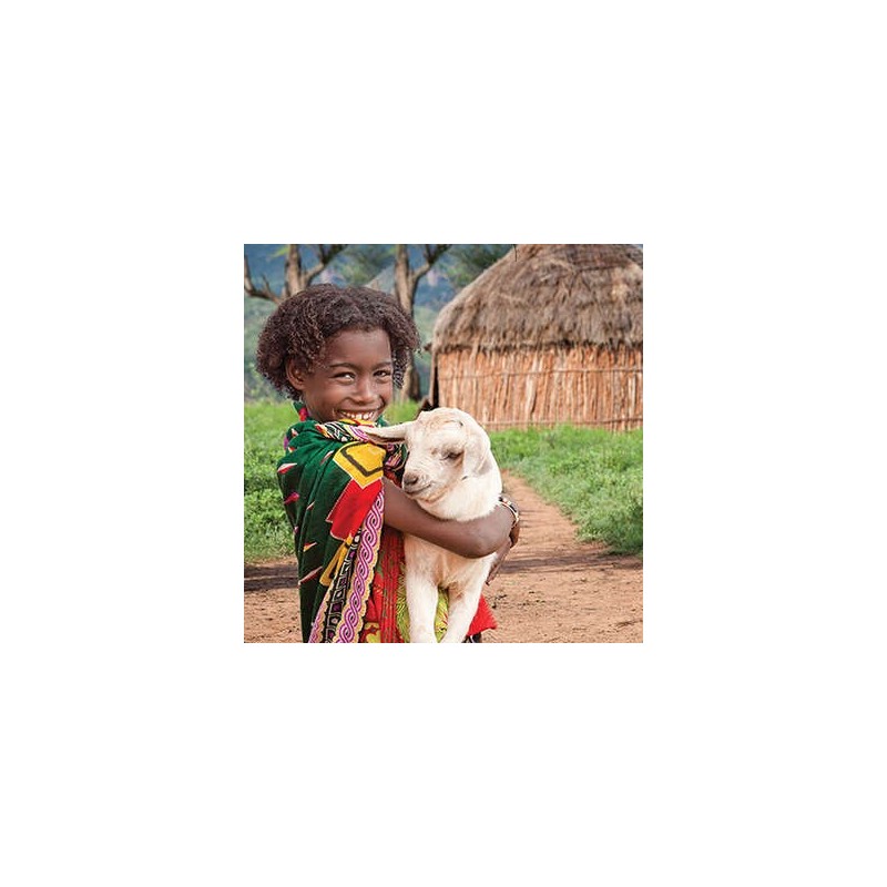 Save the Children - 2- Donation