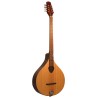 Gold Tone BZ-500 Irish Bouzouki Mandolin with Cas