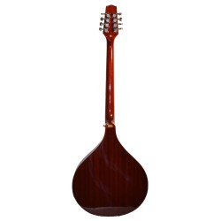 Gold Tone  BZ-500 Irish Bouzouki Mandolin with Cas