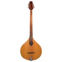 Gold Tone  BZ-500 Irish Bouzouki Mandolin with Cas