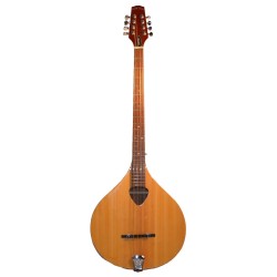 Gold Tone  BZ-500 Irish Bouzouki Mandolin with Cas