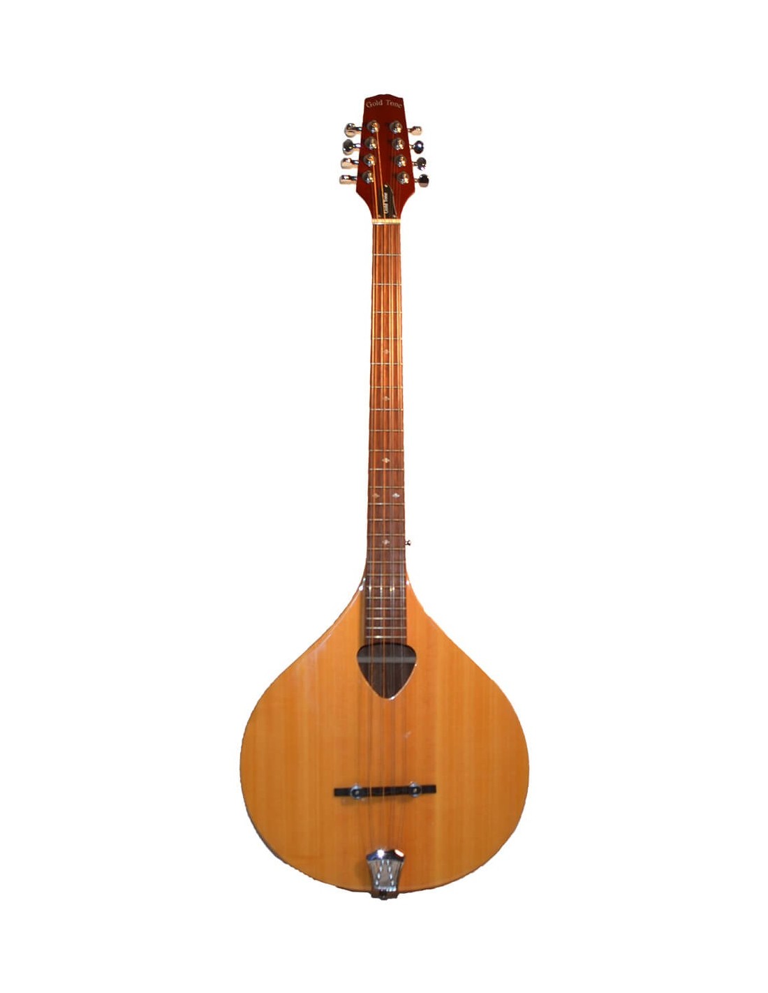 Gold Tone BZ500 Irish Bouzouki Mandolin Hard Case Free Shipping