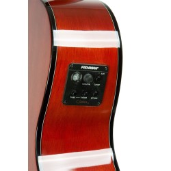 Gold Tone  BZ-1000 Guitar-Bodied Bouzouki Mandolin with Case