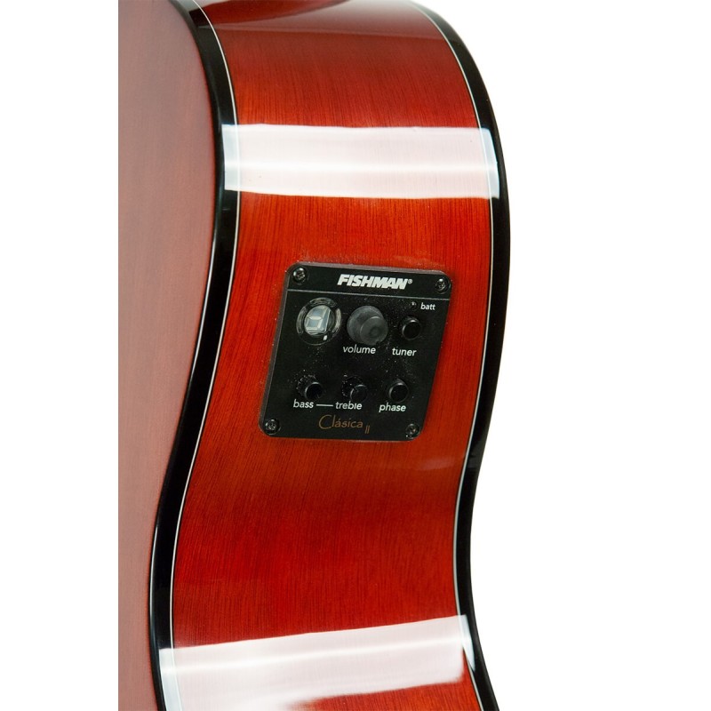 Gold Tone  BZ-1000 Guitar-Bodied Bouzouki Mandolin with Case