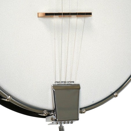 Gold Tone AC-1 | Best Beginner Banjo | Highest Quality at
