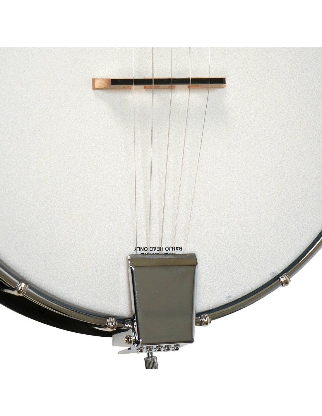 Beginner Banjo Gold Tone AC1 Best Banjo for Beginners