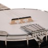 Gold Tone - AC-5 Beginner Bluegrass Banjo