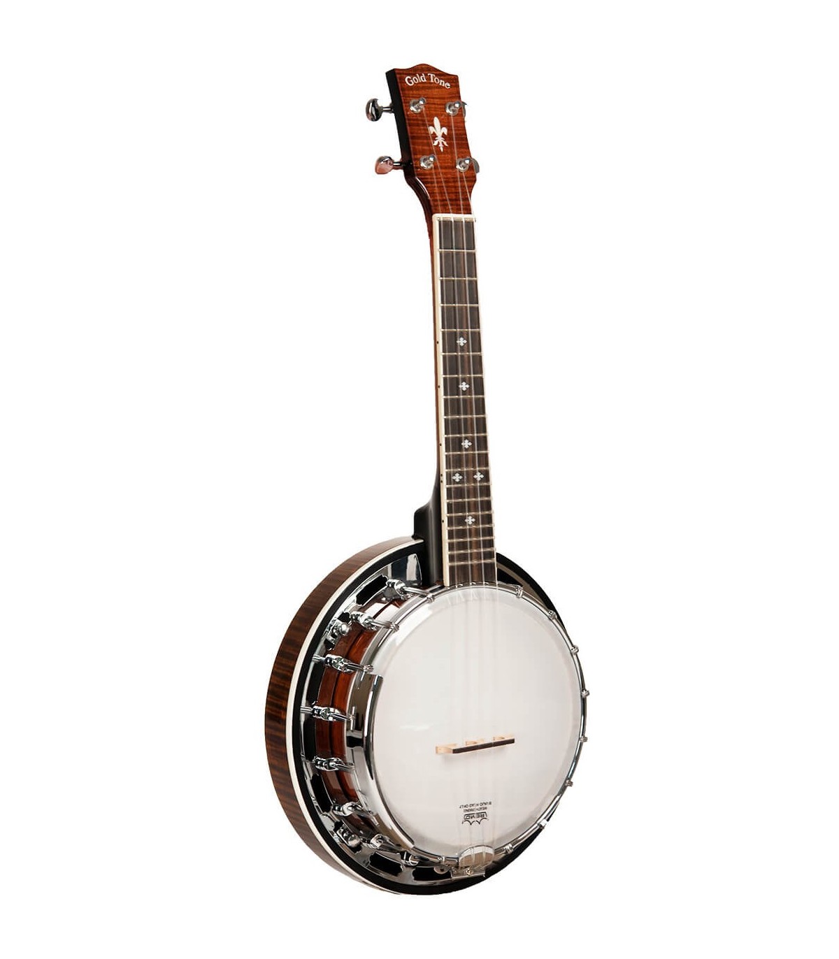 Gold Toneエレキバンジョー ケルトの笛屋さん | 商品詳細 | Gold Tone 4弦 クリップル