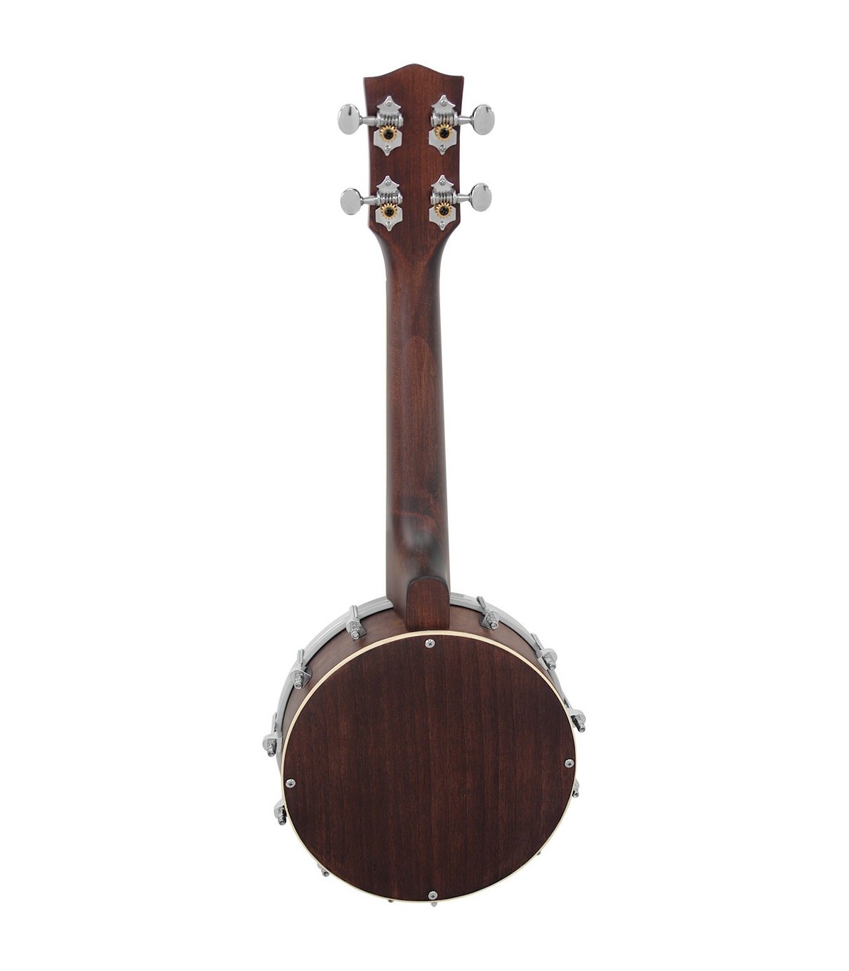 Gold Tone BUS Banjo Uke | Concert | Hard Banjo Uke Case Included