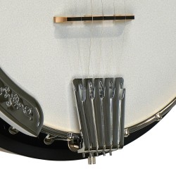 Gold Tone CC-100R PLUS  - FREE Beginner Kit