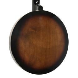 Gold Tone CC-100R PLUS  - FREE Beginner Kit