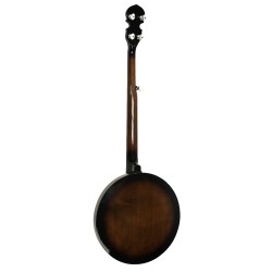 Gold Tone CC-100R PLUS  - FREE Beginner Kit