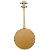 Gold Tone CC-IT Irish Tenor - 17 Fret Irish Tenor Banjo