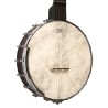 Gold Tone CC-OT - Beginner Clawhammer Open Back Banjo